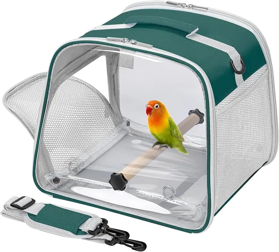 Small Bird Carrier, Large Window Travel Cage with Stand and Easy Clean Tray for Parrot Parakeet Cockatiels, Lightweight and Portable, Green
