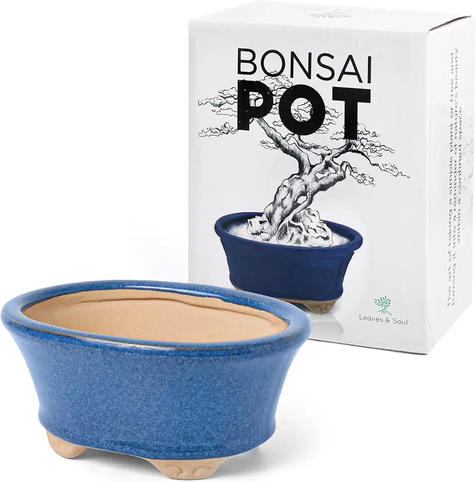 Leaves & Soul Glazed Ceramic Bonsai Pot, Blue Oval Bonsai Planter for Home