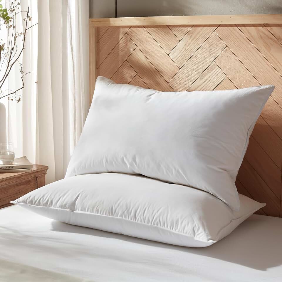 Globon Feather Down Pillow Queen Size Set of 2 Hotel Collection
