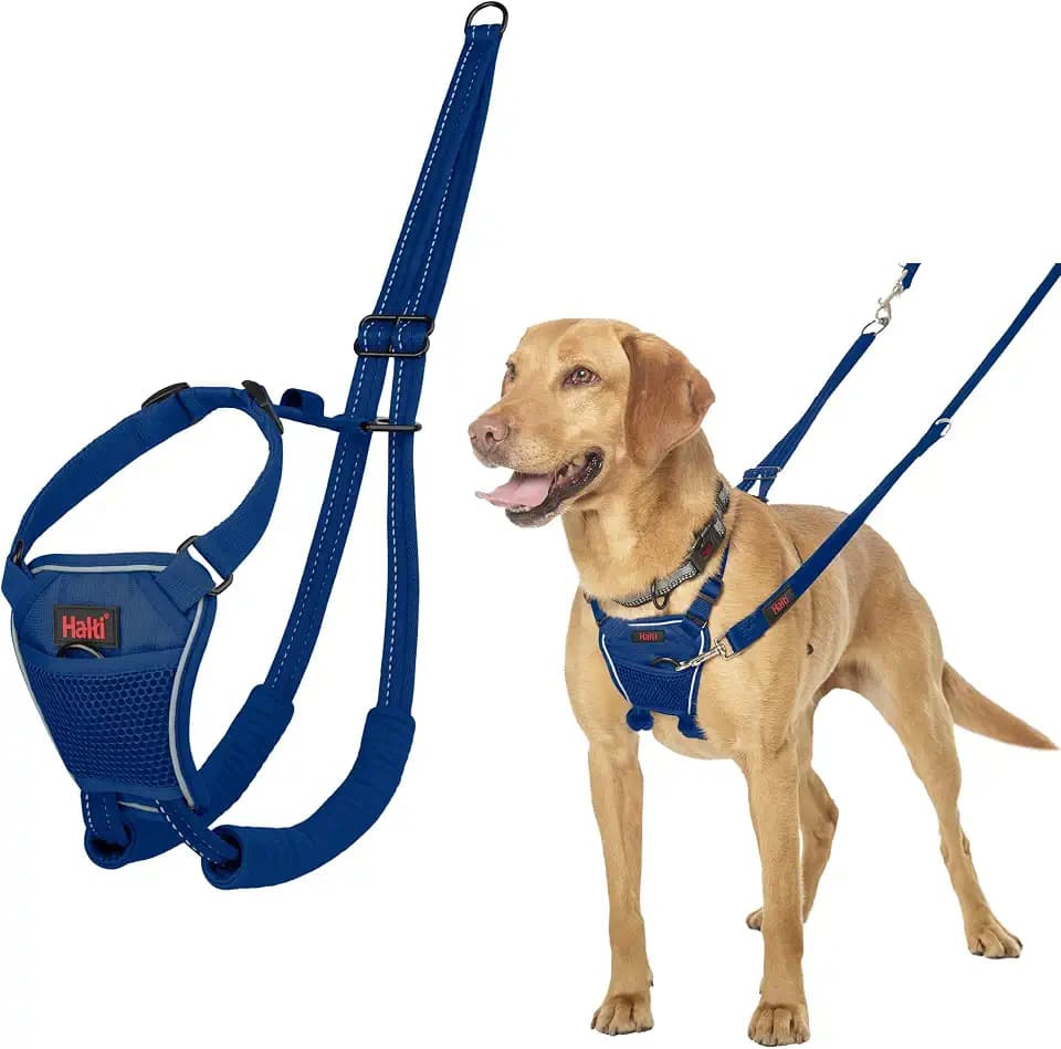 Halti No Pull Dog Harness | Size M, Cobalt Blue