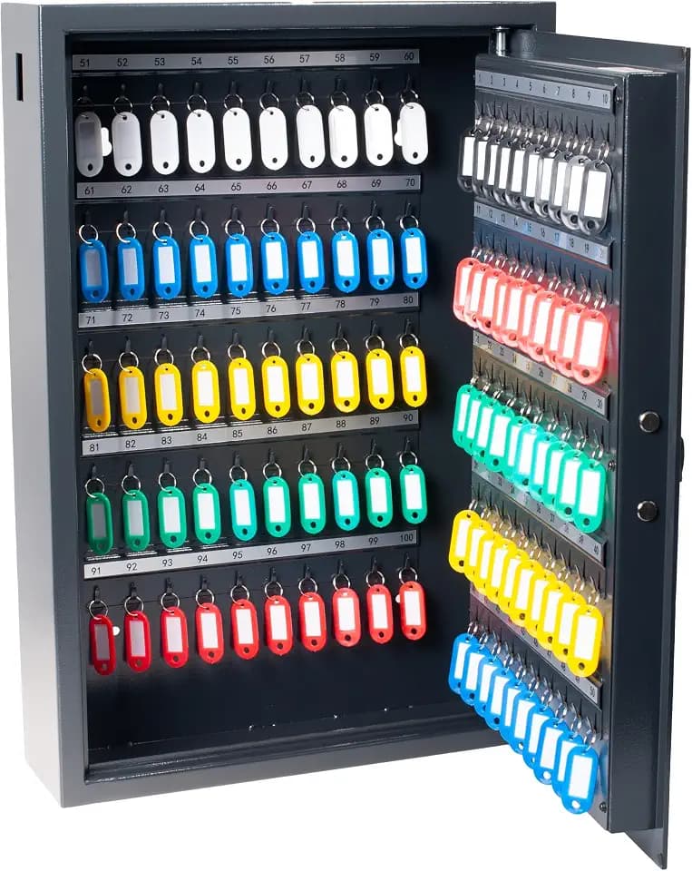 Pavo - Schlüsseltresor / Hochsicherheits-Schlüsselschrank für 100 Schlüssel / Schlüsselsafe / Abmessungen: 550 x 400 x 120 mm / 100 Schlüsselanhänger - Incl .