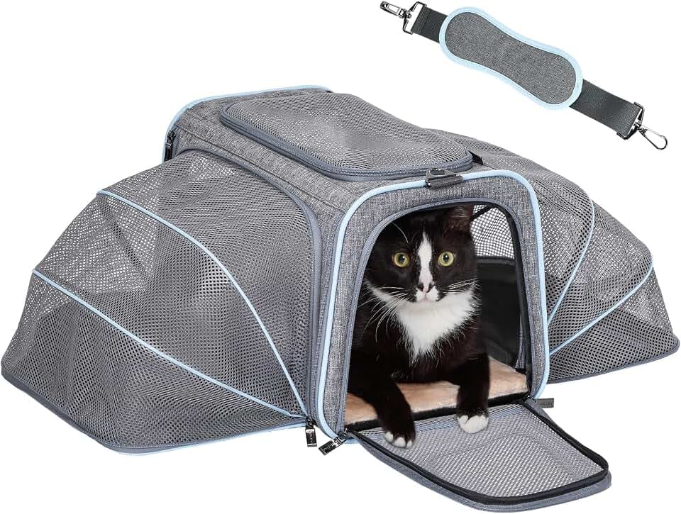 Petsfit Faltbarer Transporttasche Katze und Hund,Doppelseitig erweiterbare Katzentransportbox mit Schultergurt Hundetragetasche Flugtasche Oxford Gewebe für Katze und Hund