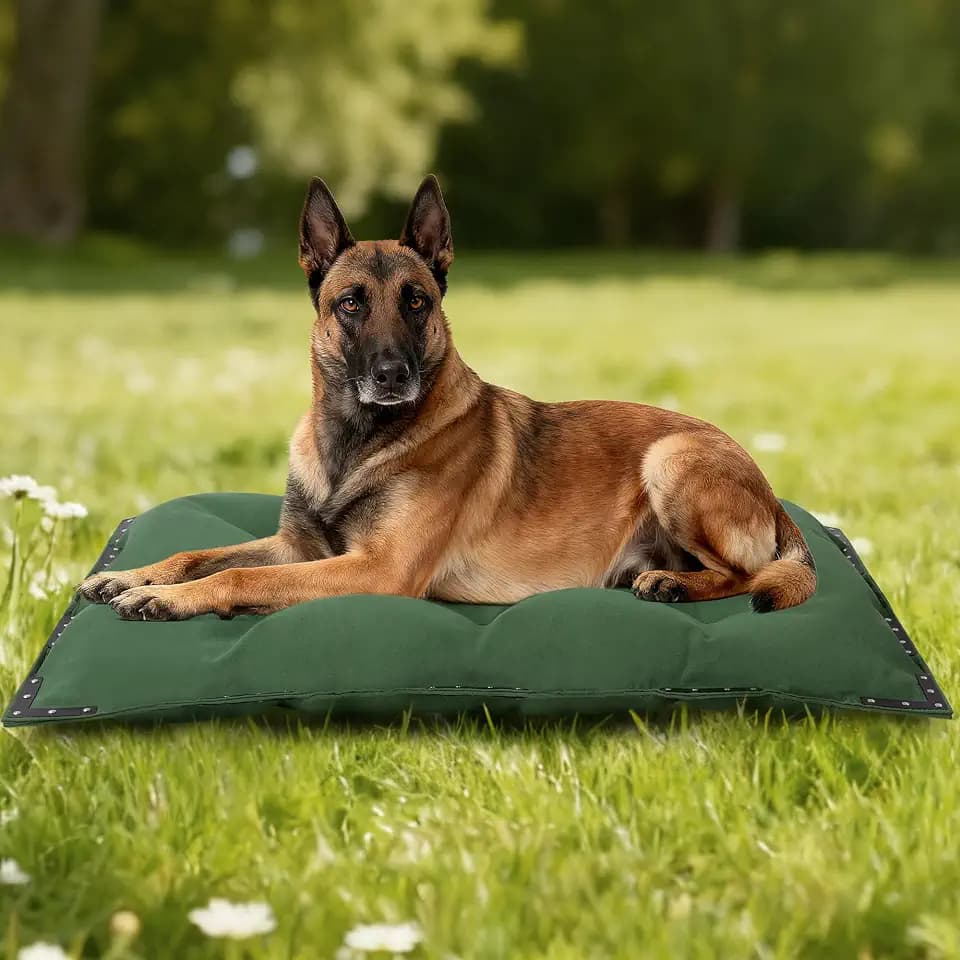 HOMBYS Durable Canvas Outdoor Dog Bed with Metal Rivets, 41" x 28" Water Resistant & Heavy-Duty Tough Pet Bed, Ideal for Large Dogs Indoor, Crate, Patio Use, Green