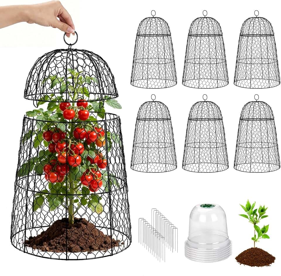 6 Pack XL Metal Garden Cloches for Plants, 17" Tall Chicken Wire Cloches