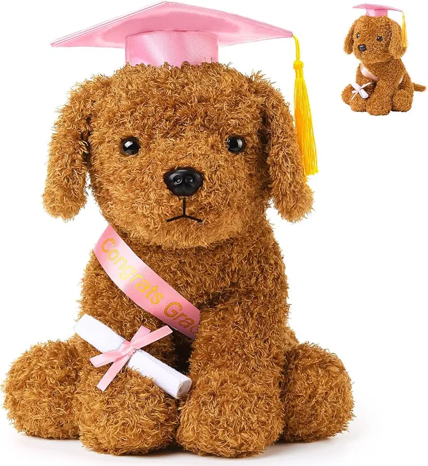 Chalyna 10'' Graduation Season Dog Preschool Plush Stuffed Animal, Pink