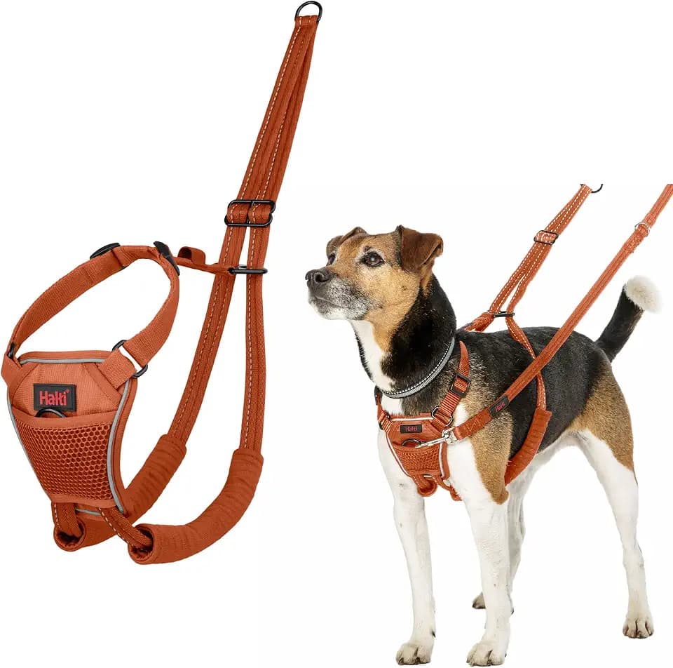 Halti No Pull Dog Harness | Size S, Burnt Orange