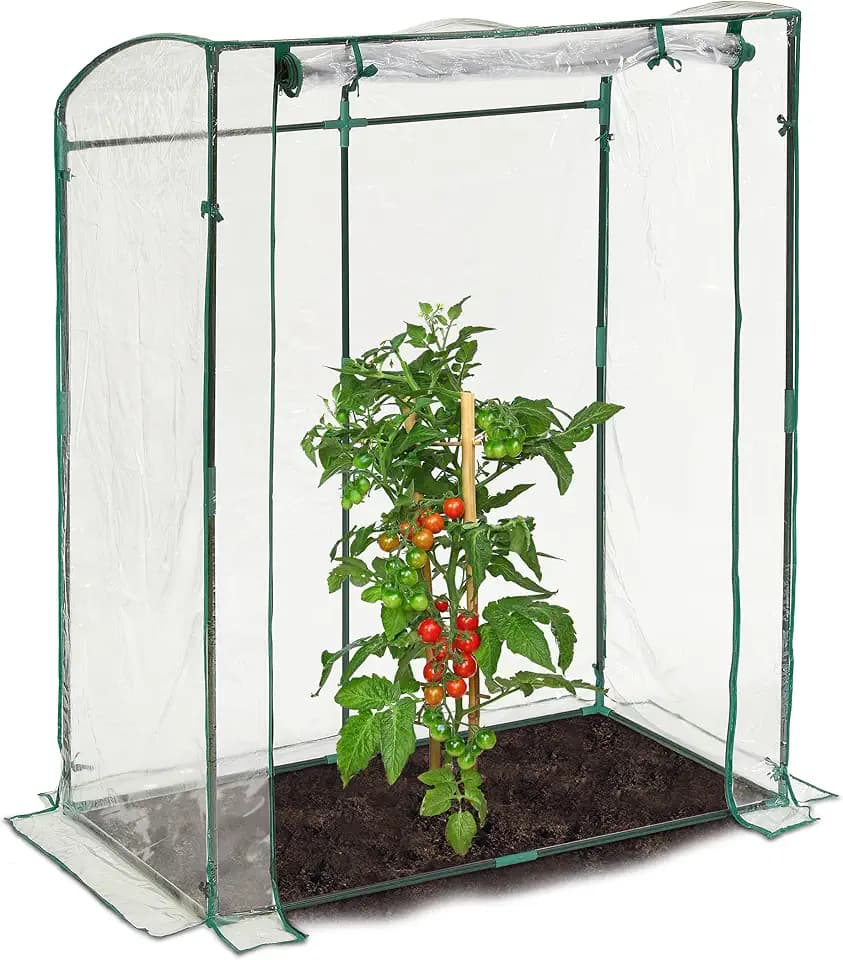 Relaxdays Tomatengewächshaus, PVC-Folie, HBT: 170 x 130 x 75 cm, begehbares Foliengewächshaus mit Tür, transparent/grün