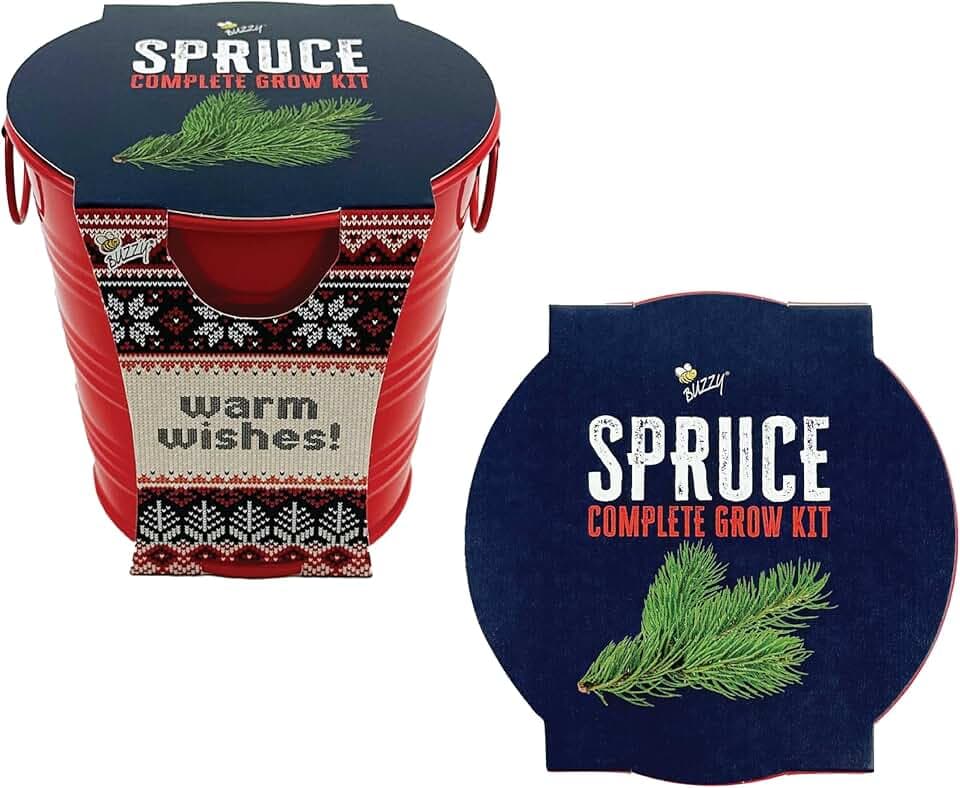 Buzzy Seeds Spruce Tree Grow Kit, Metal Pail Planter, Bonsai Gift