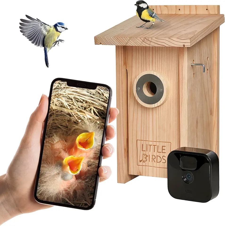 Little Birds Kamera Nistkasten (Kamera Nicht enthalten) für „Blink“ Kamera I ökologisches Massivholz I Katzen- und Spechtschutz I Brutkasten I Kamera Vogelhaus I kein Strom/Kabel nötig