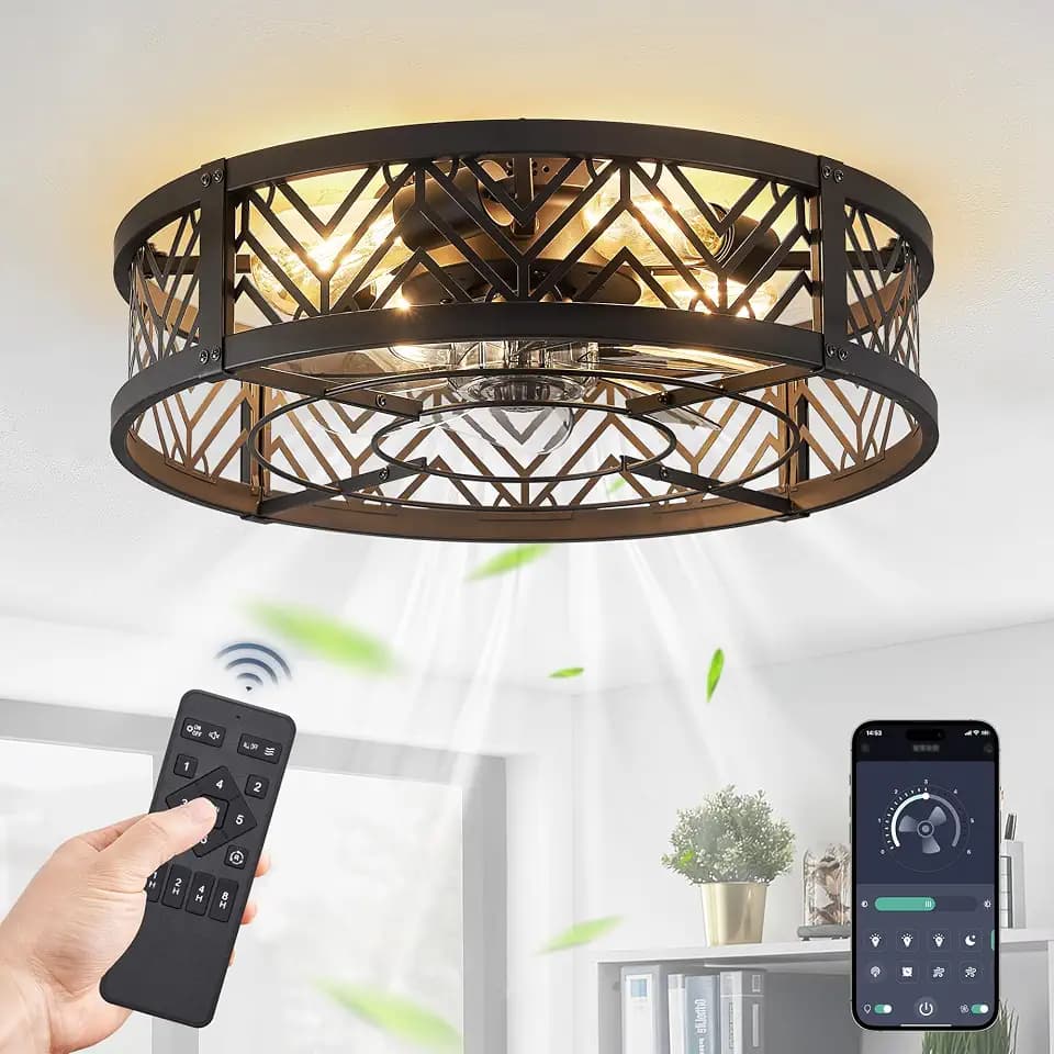 LEDIARY 20" Caged Ceiling Fan with Light and Remote, Small Fandalier, Black