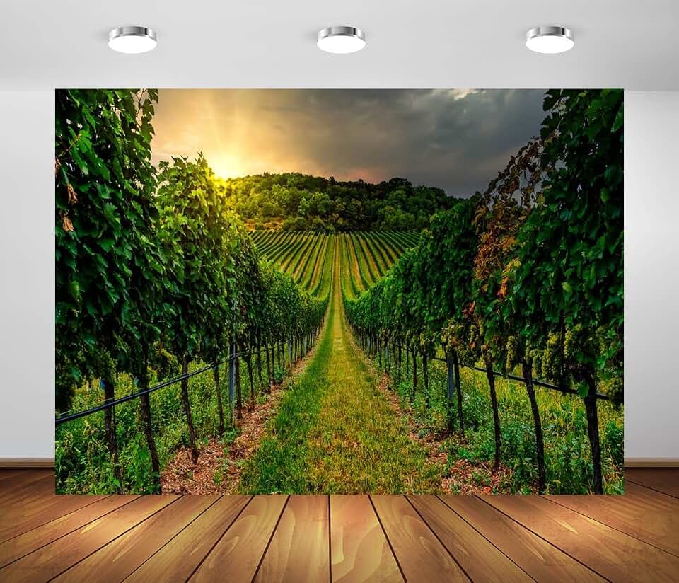 BELECO 7x5ft Fabric Vineyard Backdrops for Photography Countryside Grapevines Vineyard Sunset Landscape Winery Background Farm Grapes Harvest Wine Party Decor Portrait Photoshoot Studio Booth Props