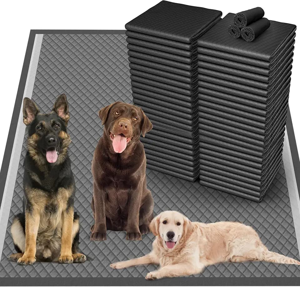 36"x36" Activated Charcoal Pee Pads for Dogs , 200 Count, Extra Large, Super Absorbent, Leakproof and Odor Resistant, Disposable Puppy Pads, Pet Training Pads, Potty Pads