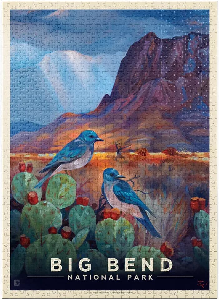 MyPuzzle Big Bend National Park: Birds, Vintage Poster - Premium 1000 Piece Jigsaw Puzzle for Adults