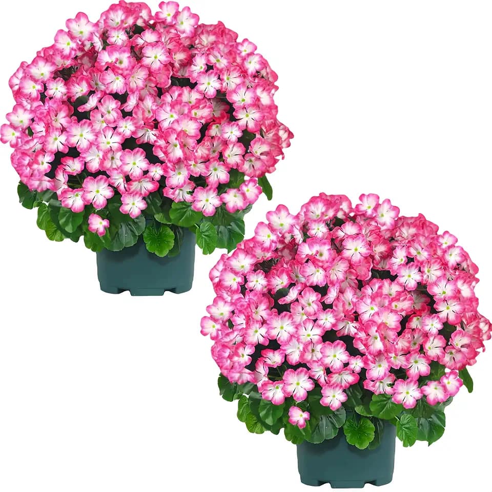 Artificial Geranium Bush – 20 Inch Outdoor Potted Artificial Plant for Front Porch, UV Resistant Faux Flower Bush for Garden, Yard & Patio Decor (2 Pack)