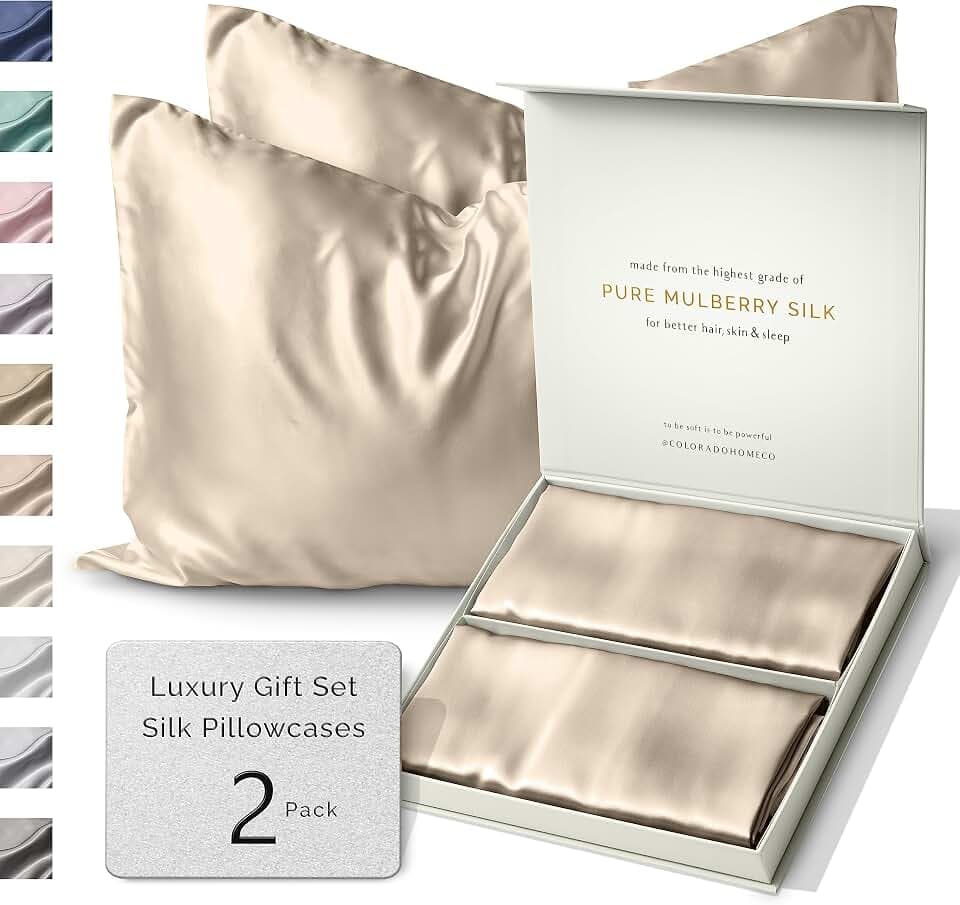 Sunday Silks™ | Silk Pillow Cases 2 Pack | 22 Momme Mulberry Silk Pillowcase Set of 2 | All Sides 100% Pure Silk Slip Pillowcases Bliss for Couples, Zipper | Standard Queen, King Size, 6A [Oat Milk]