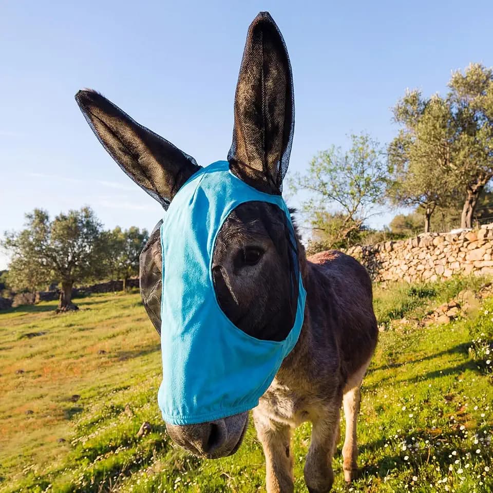 Donkey Fly Mask, Breathable Mesh Eye Covers, Blue, Mini, 1 Pcs