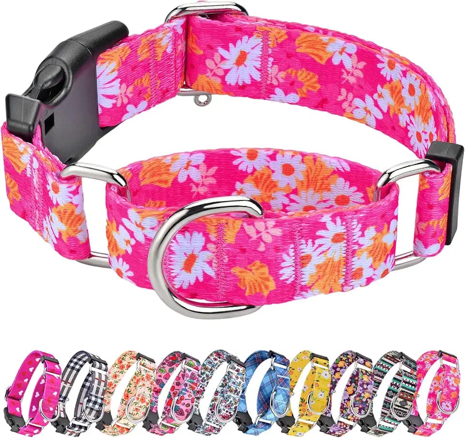 Hikiko Martingale Collar for Dogs with Special Pattern,Adjustable,S