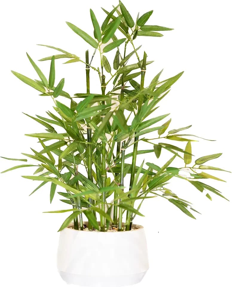 365 Blooming Decor 18 inch Tall White Potted Artificial Bamboo Plant- Luxury Artificial Bamboo Tree in White Pot for Home, Office, Kitchen, Counter Top, Indoor Decor, Money Tree, Lucky Tree.