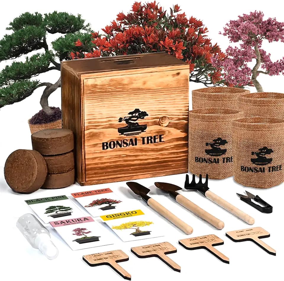 Bonsai Garden Starter Kit, 4 Seeds Growing into Sakura, Ginkgo, Black Pine, Red Flame, Including Complete Gardening Tools & A Planter Box with Cover for Men Women Beginners