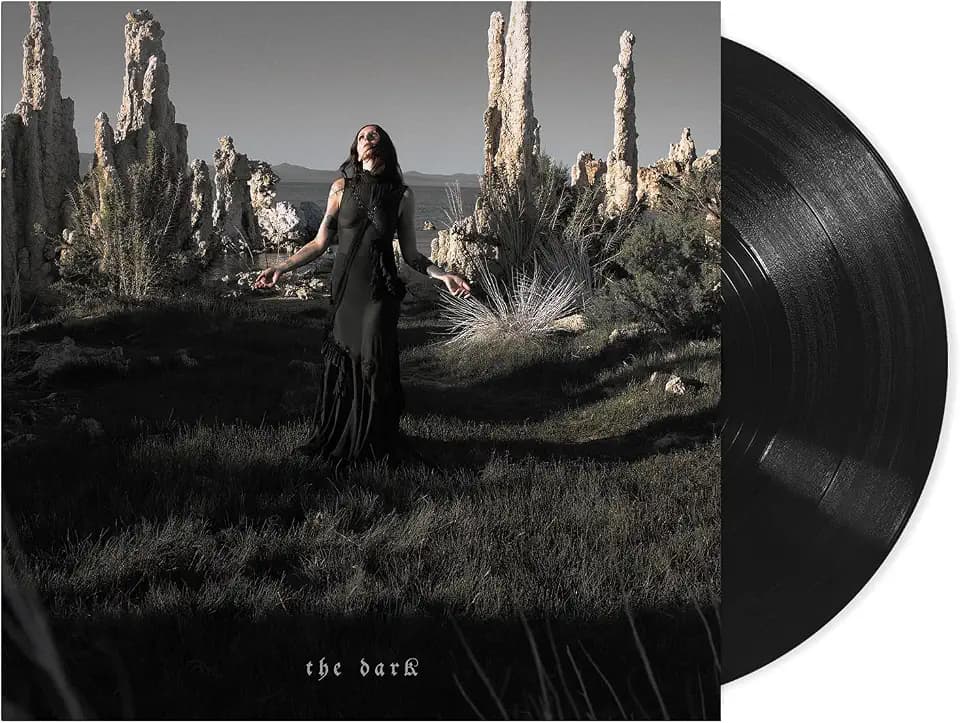 The Dark (LP) [Vinyl LP]