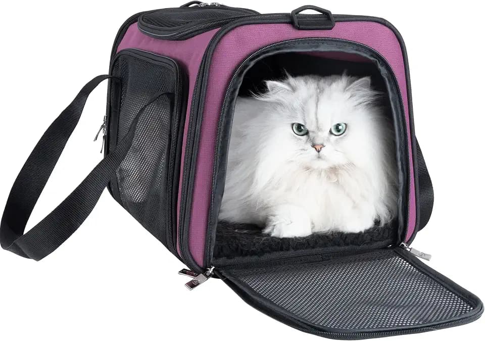 Easy Load Pet Carrier for Medium Cats and Small Dogs