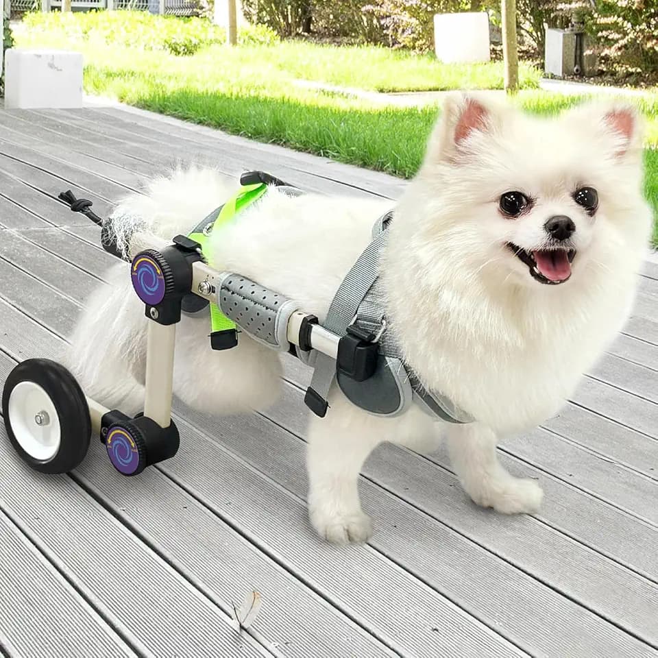 Dog Wheelchair for Back Legs, Adjustable Mobility Cart for Dog