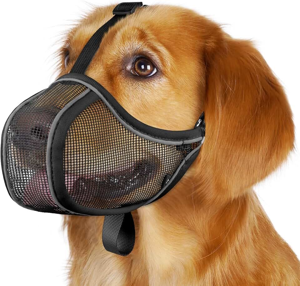 Mayerzon Hundemaulkorb aus Netzgewebe – Schutz vor Fressen Beißen Kauen| S | Weiche Welpenmaulkörbe für kleine bis mittelgroße Hunde, atmungsaktiv, reflektierend für Fellpflege, Spaziergänge Training