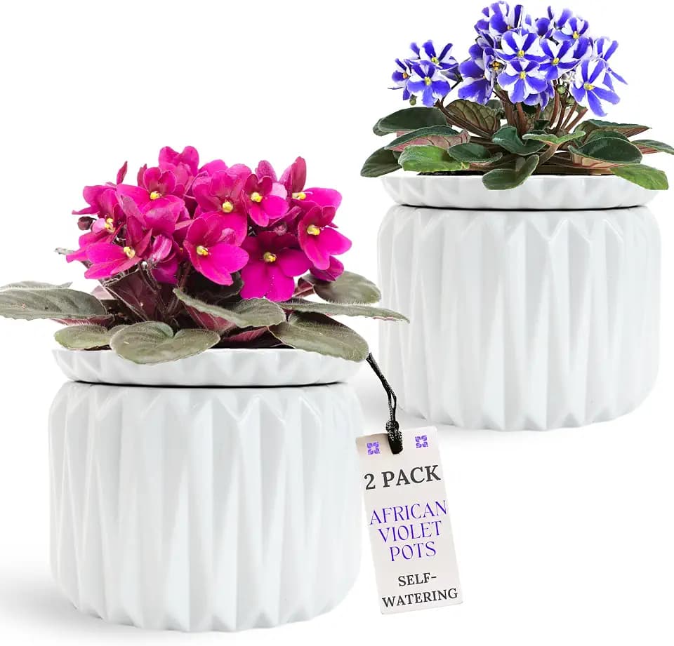 6 Inch African Violet Pots Self Watering, 2 Pack, Ceramic Pot with Water Reservoir and Fill Lines, 4 Inch Opening, Indoor Flower Planter, Holds 3 Weeks of Water