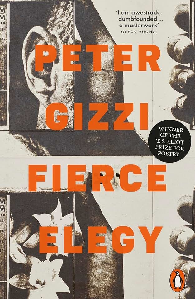 Fierce Elegy: Peter Gizzi