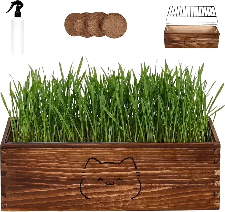 Wooden Cat Grass Planter (no Seeds Included),Cat Grass Kit for Indoor Cats with Anti-Digging Grid, Potting Soil Disks,Watering Bottle and Removable Plastic Liner,Wheat Grass Growing Pot