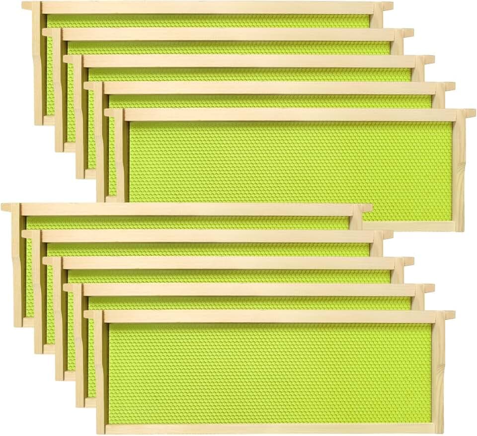 Medium Super Bee Frames with Food Grade Wax Foundations