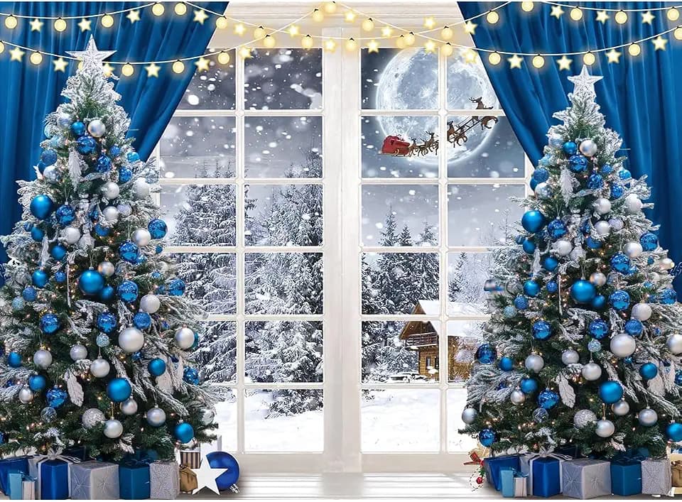 7x5ft Christmas Backdrops for Photography Window Winter Snow Scene Blue Xmas Photo Backdrop Family Holiday Photobooth Portrait Photo Studio Props 111