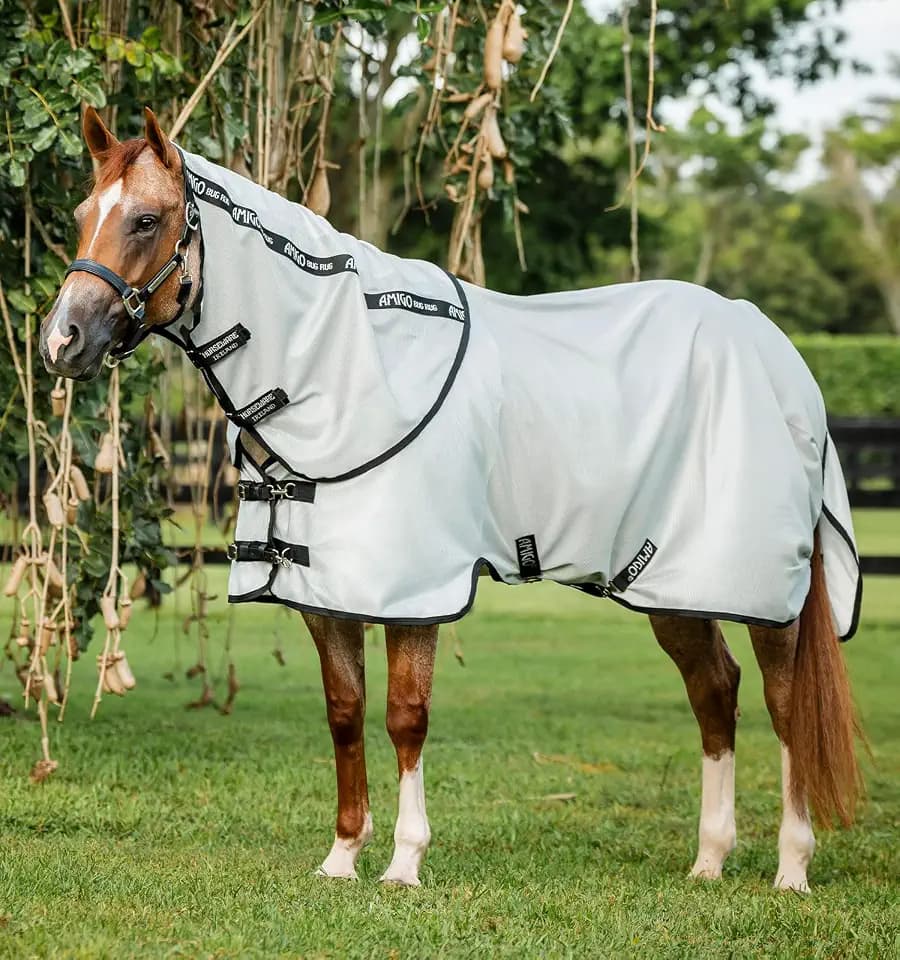 AMIGO Bug Rug Stock Horse Plus Fly 80 Silver/Black