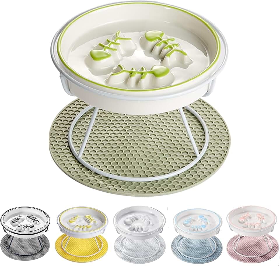 Ceramic Elevated Slow Feeder Cat Bowl, Anti Vomit, Removable Dish, Green
