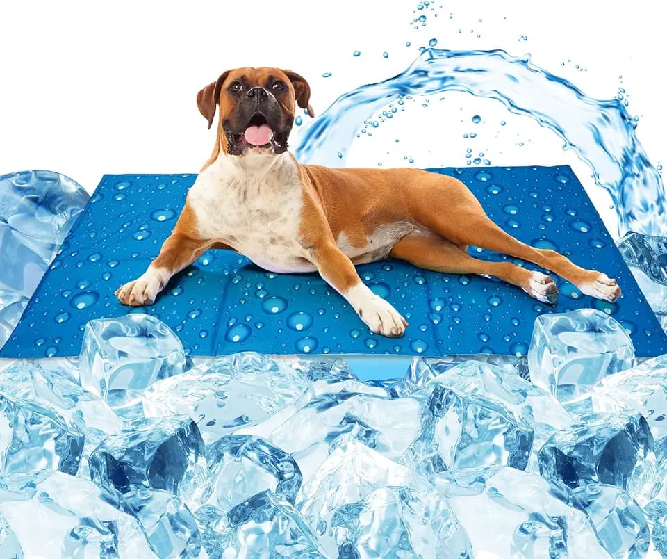 Zellar Kühlmatte für Hunde Selbst Kühlende Hundematte Kühldecke Hunde Sommer Kühlkissen Hundedecke mit Kaltgel-Füllung für Zuhause Unterwegs oder im Auto, L 90x50cm