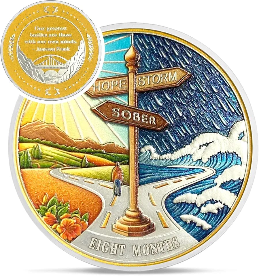 Hope Signpost 8 Month Sobriety Coin - Reborn from Storm AA Coins - 240 Day AA Chips and Medallions - 1-10 Years NA AA Celebrate Recovery Addicts - Narcotics Alcoholics Anonymous Gifts for Men Women