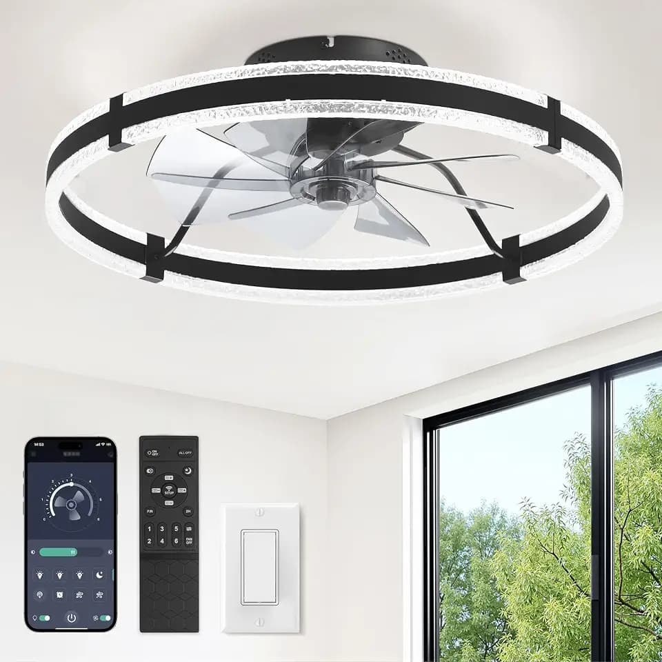 LEDIARY 24'' Modern Low Profile Ceiling Fans with Lights and Remote, Black