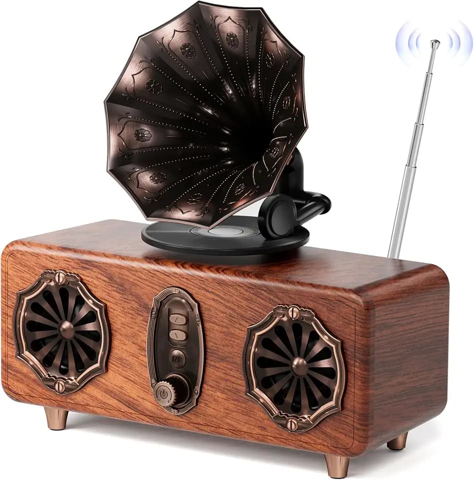 Retro Bluetooth Speaker with FM Radio & Dual-Speaker Design