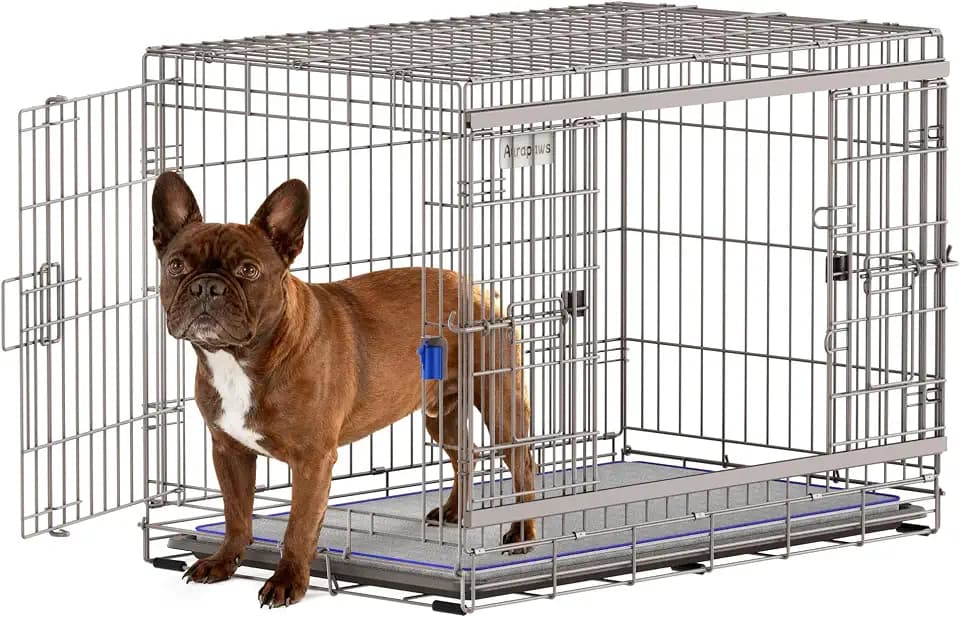 36 Inch Collapsible Dog Crate for Medium Dog Breeds, 30-70lbs