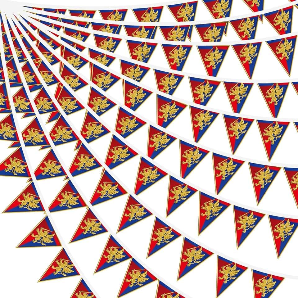 Hahafelt 12 Pcs 144 Ft Medieval Pennant Banner Lion Party Decor, Red, Blue