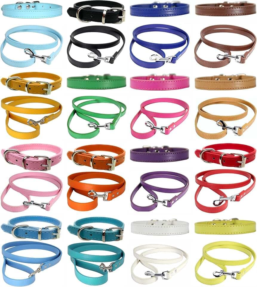 Lebendiges Leder-Hundehalsband & Leinen-Kombi-Set für Welpen, Hunde Klein, Mittel & Groß (Groß (36cm - 46cm Halsumfang), Himmelblau)