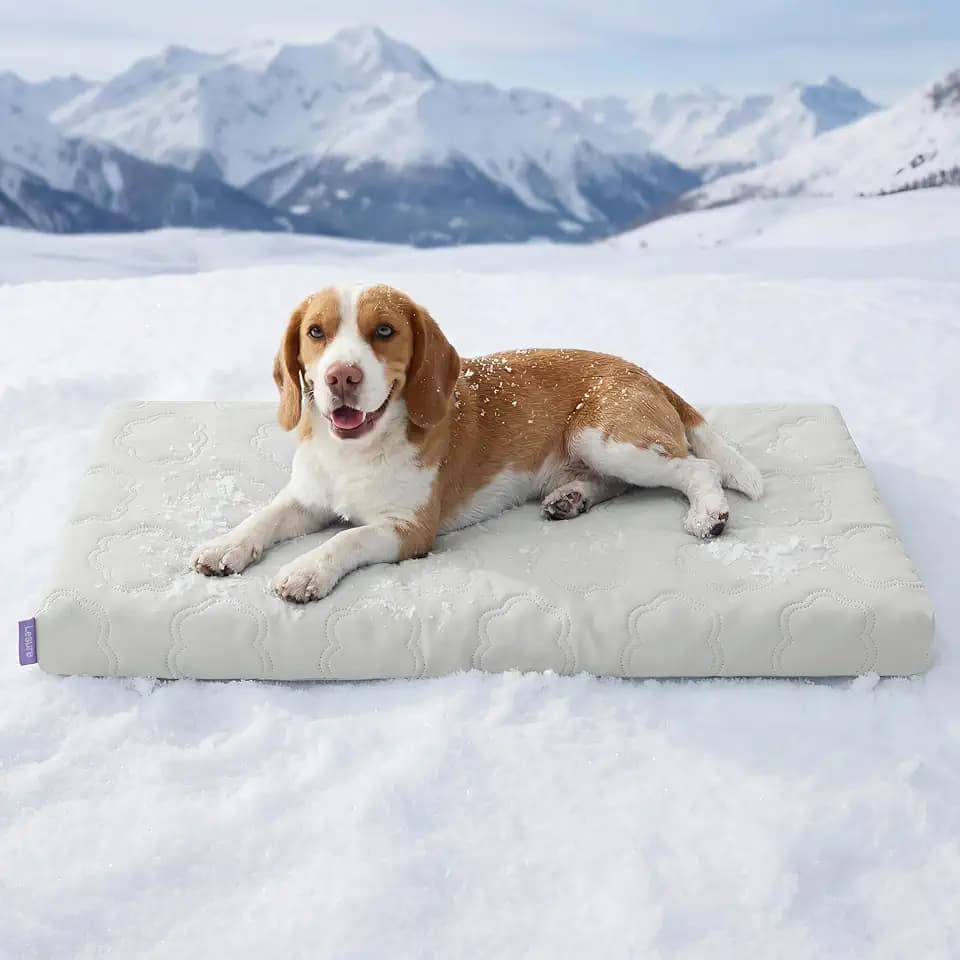 LE SURE ApexCloud™ Cooling Dog Bed for Large Dogs with Washable Cover,35IN