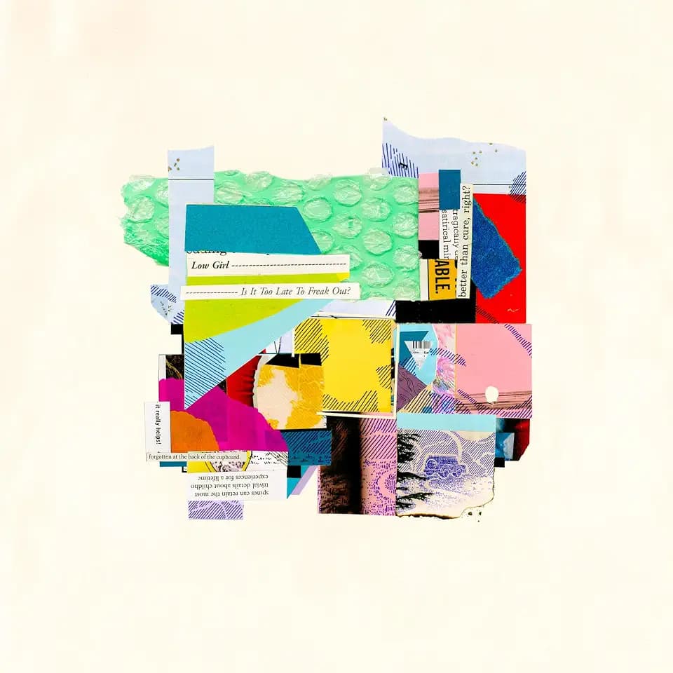 Is It Too Late to Freak Out? [Vinyl LP]