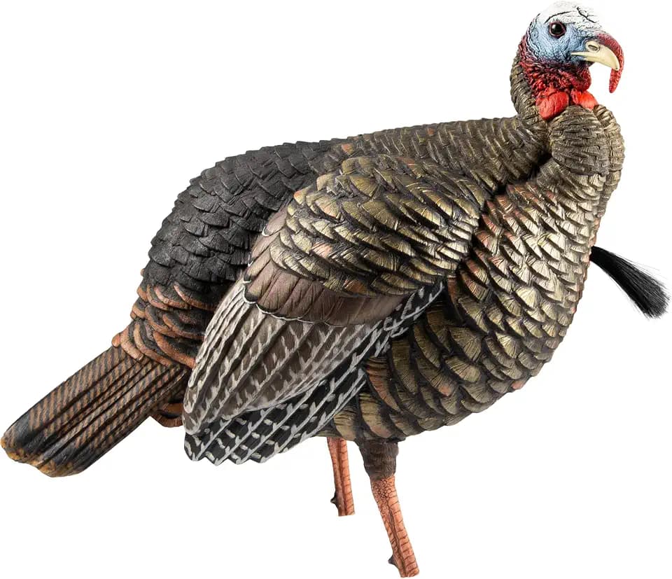 Avian-X HDR Jake Turkey Decoy | Rugged Durable Realistic Lifelike Quarter-Strut Body Standing Hunting Decoy with 2 Removable Heads, Mounting Stake & Carry Bag
