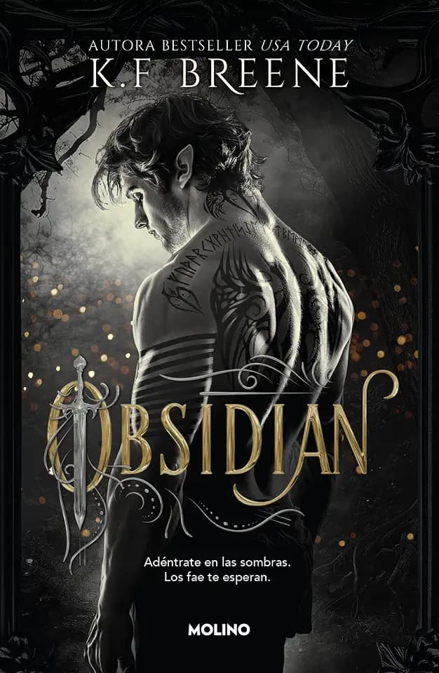 Los fae de las sombras 1 - Obsidian (Ficción crossover, Band 1)