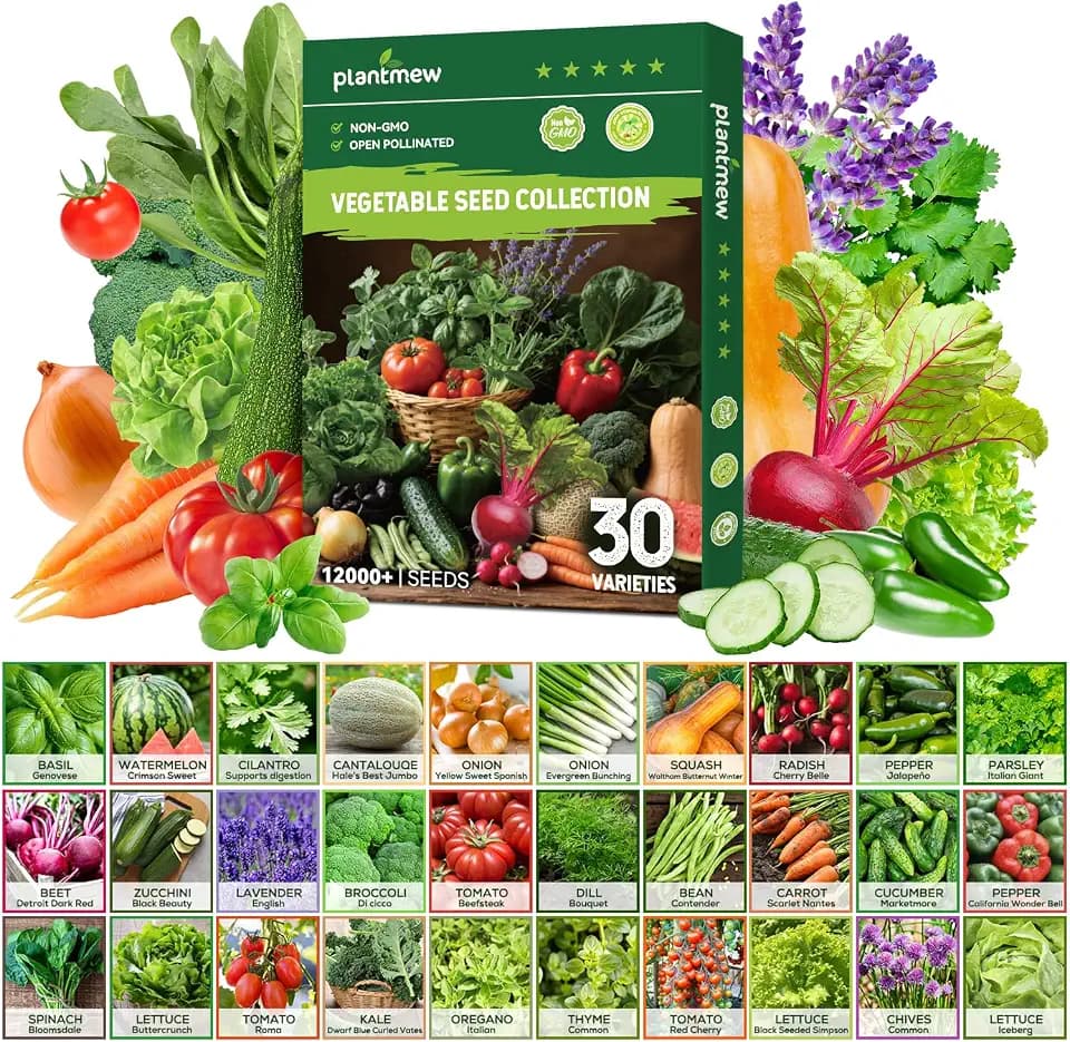 30 Heirloom Vegetable Seeds for Planting, 12,000+ Garden Seeds - Vegetable, Herb, Fruit Seeds - Survival Seed Vault with Tomato, Basil, Lettuce, Bean, Pepper, Squash and More