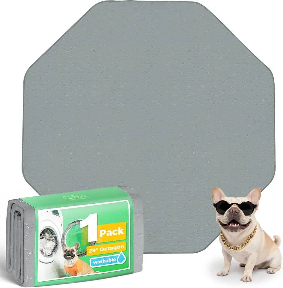 FXW Washable Pee Pads for Dogs, Super Absorbent, 29" Octagon, 1 Pack