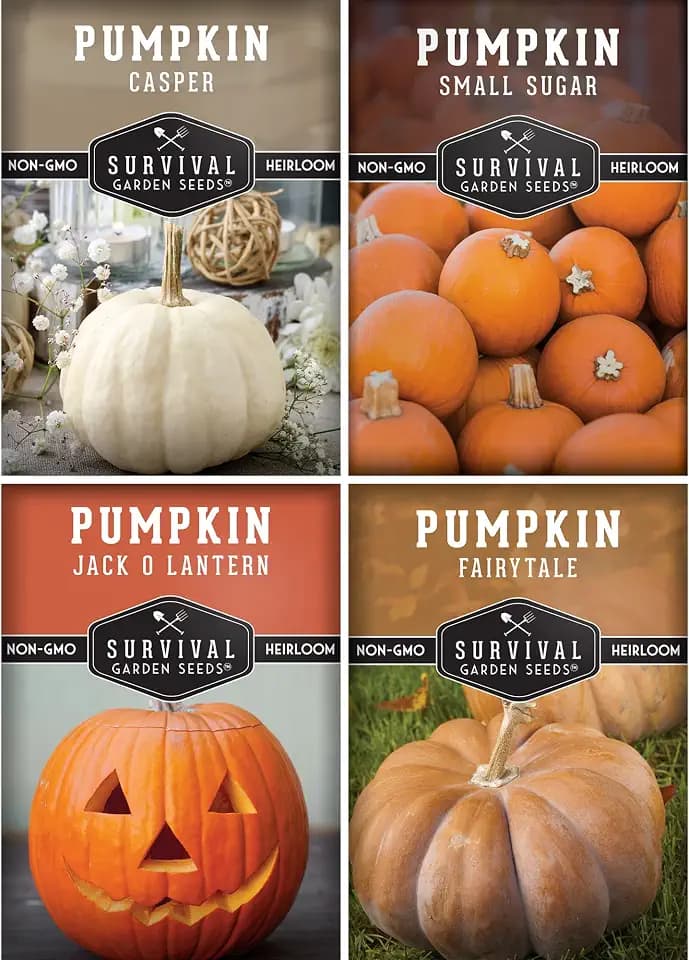 Pumpkin Seeds 4 Variety Pack for Planting