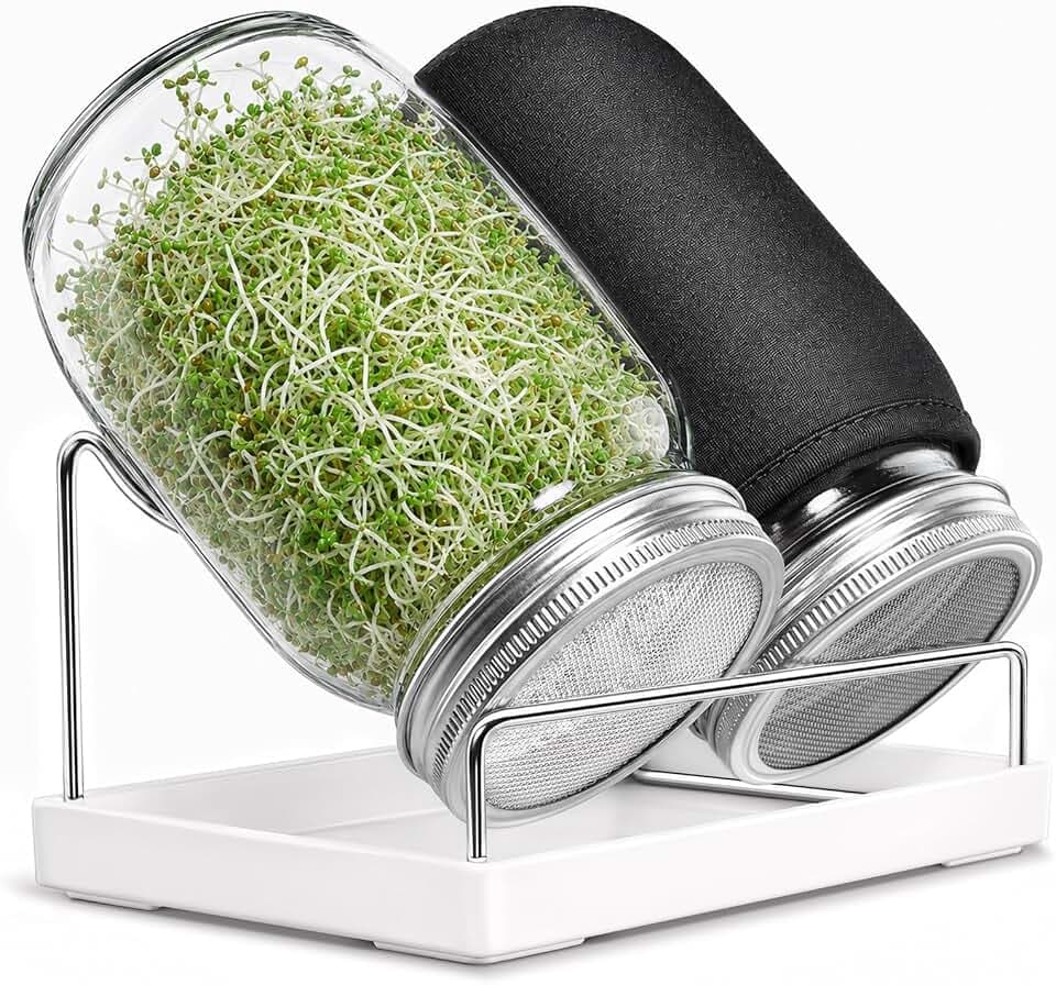 Seed Sprouting Jar Kit - 2 Wide Mouth Mason Jars with 316 Stainless Steel Sprouting Lids Covers, Drip Tray and Stand for Growing Broccoli Alfalfa Beans Sprout (Two Jars)