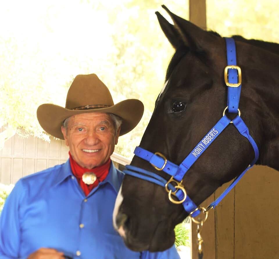 Monty Roberts Doppelter Kopfhalfter